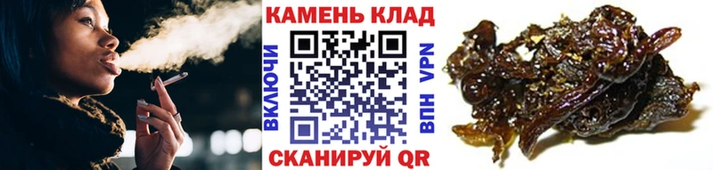 Купить наркоту Кореновск Кокаин  Галлюциногенные грибы  Мефедрон  Амфетамин  МАРИХУАНА  ГАШ  Alpha PVP 
