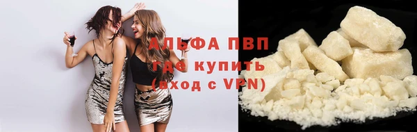 сатива Кинешма